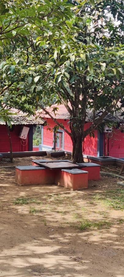 Clay Resort By Bestinn Leisure - Wayanad Padinjarathara エクステリア 写真